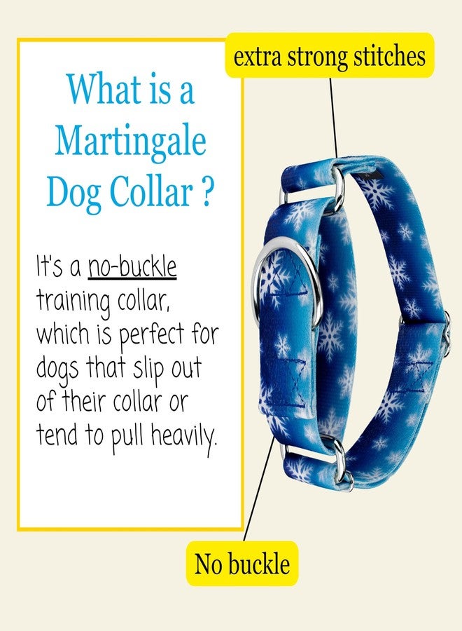 كانتري بروك ديزاين طوق مارتينجال عريض للكلاب من كونتري بروك بيتز - هوسفيت جونيور - مجموعة عيد الميلاد بتصاميم احتفالية (عالم الشتاء الرائع، متوسط) - Image 4